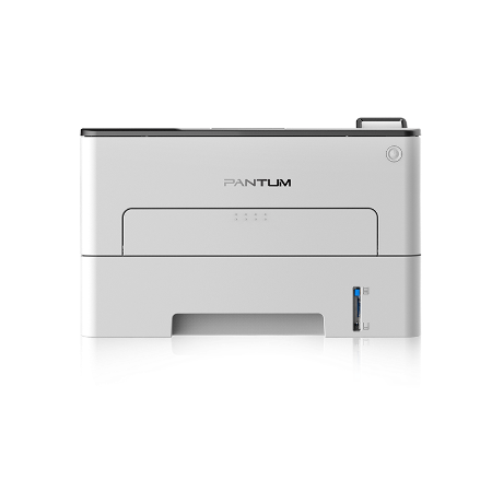 P3300DW